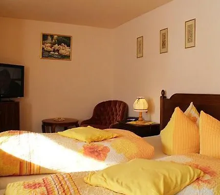 فندق Hotel-pension Thome 3*