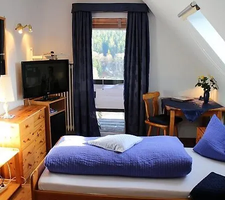 فندق Hotel-pension Thome هينترتزارتن