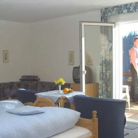 Hotel-pension Thome 3* هينترتزارتن