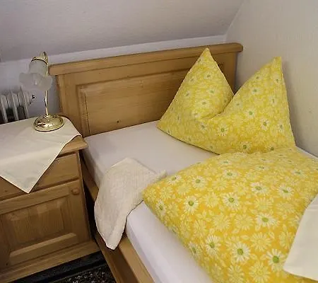 فندق Hotel-pension Thome هينترتزارتن