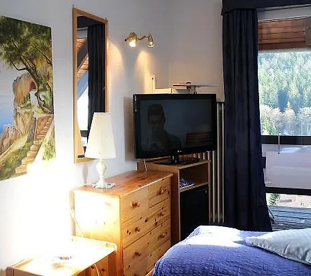 Hotel-pension Thome הינטרצארטן