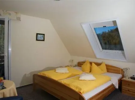 Hotel-pension Thome מלון 3*