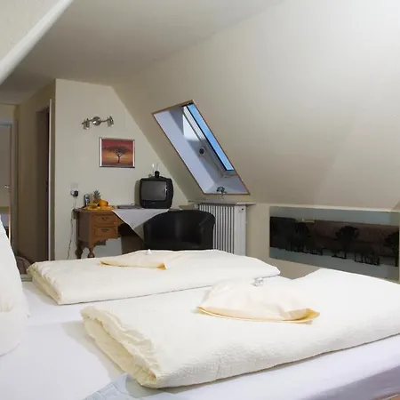 فندق Hotel-pension Thome هينترتزارتن