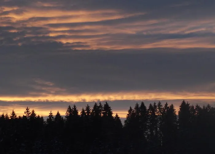 Hotel-pension Thome Ξενοδοχείο Hinterzarten